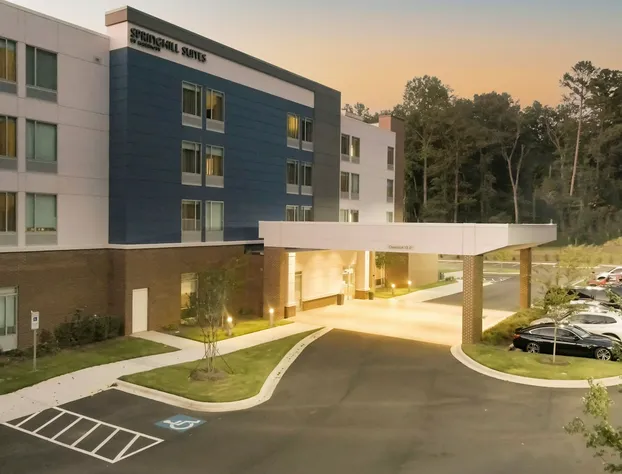 SpringHill Suites by Marriott Charlotte Huntersville hotel detail image 1