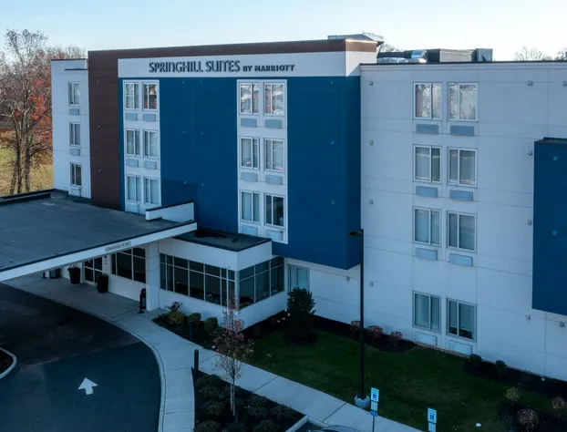 SpringHill Suites by Marriott Woodbridge hotel detail image 1