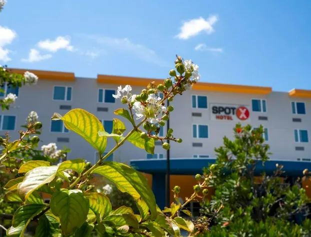 SPOT X Hotel Orlando/Intl Dr by The Red Collection hotel detail image 1