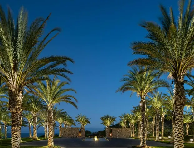 Zadun Los Cabos, a Ritz-Carlton Reserve hotel detail image 3