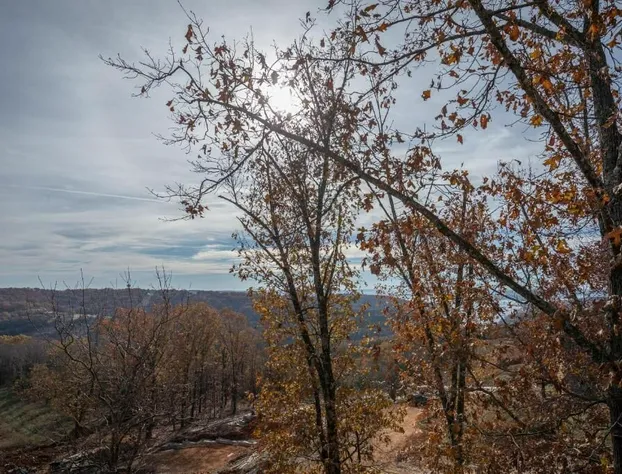 The Lodges at Table Rock Lake hotel detail image 1