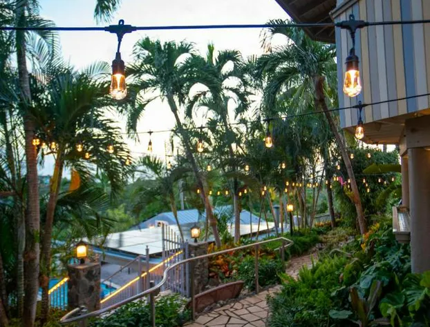 Lazy Parrot Inn hotel detail image 2