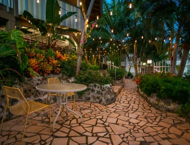 Lazy Parrot Inn hotel detail image 3