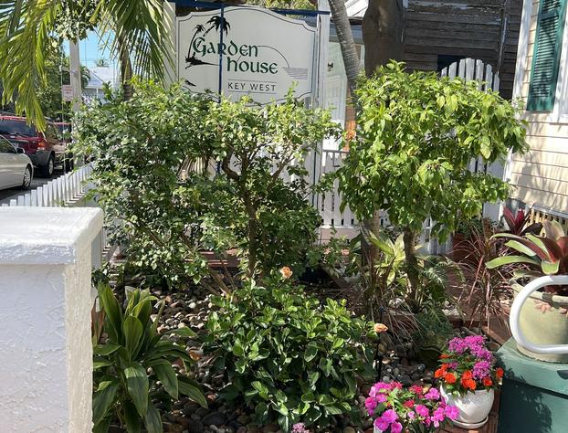 The Garden House hotel detail image 2