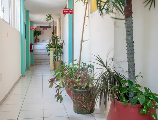 Hotel y Suites Continental hotel detail image 3