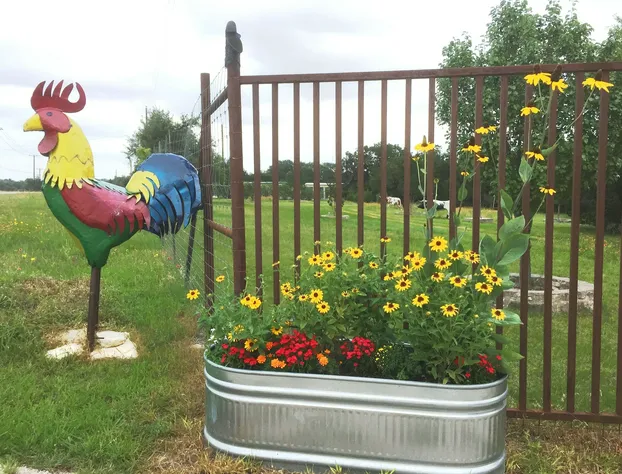 BellaVida B&B and Retreat hotel detail image 2