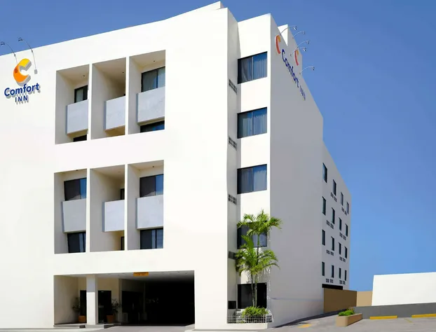 Comfort Inn Tampico hotel detail image 2