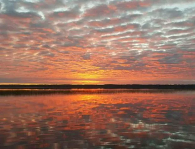 Leech Lake Resort Bed & Breakfast hotel detail image 2