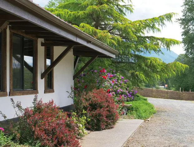 Paradise Village Hotel hotel detail image 1