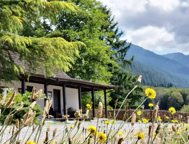 Paradise Village Hotel hotel detail image 2