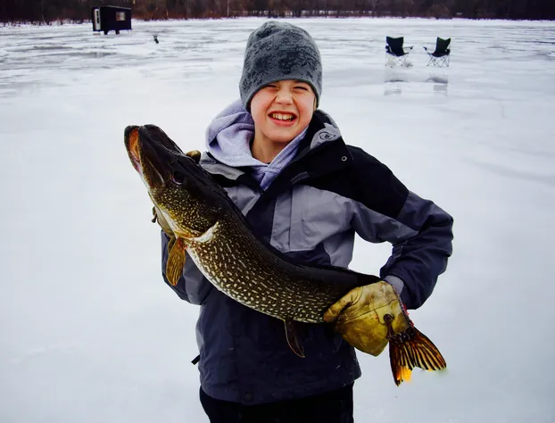 Lakeview Motel and Apartments hotel detail image 2