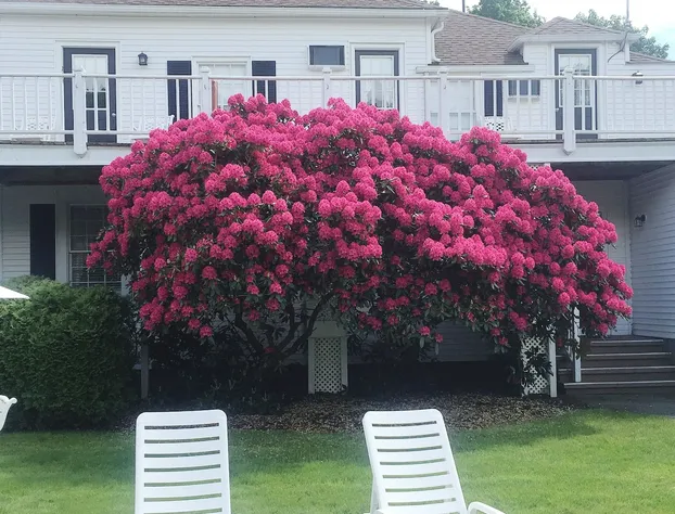 ShoreWay Acres Inn & Cape Cod Lodging hotel detail image 3