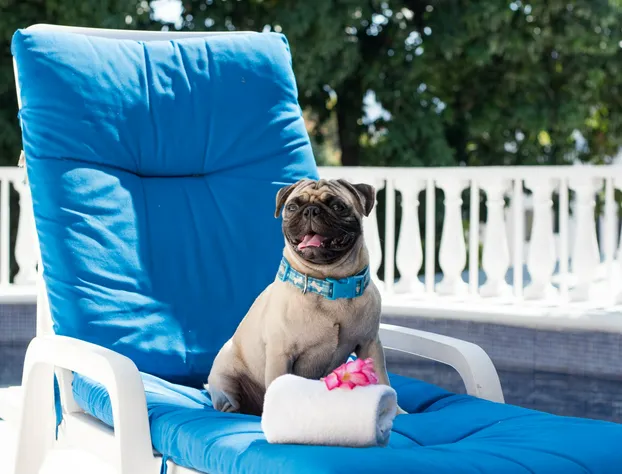 Hotel Villavera hotel detail image 2