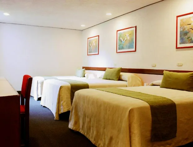 Hotel Manalba hotel detail image 3