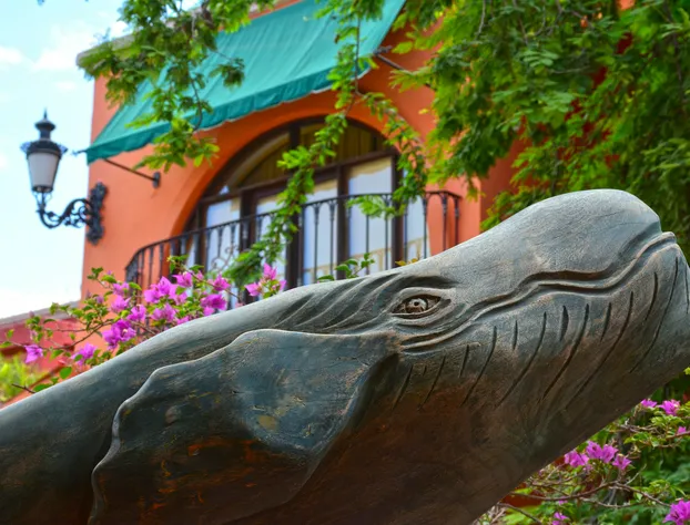 Collection O Casa Bella Hotel Boutique, Cabo San Lucas hotel detail image 2
