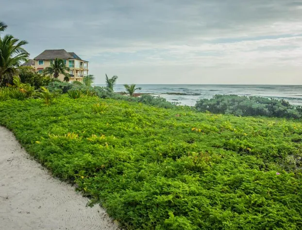 Hotel Caleta Tankah hotel detail image 1
