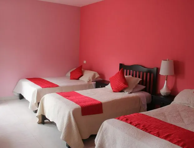 Hotel Boutique La Orquidea hotel detail image 3