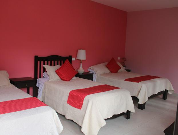 Hotel Boutique La Orquidea hotel detail image 2