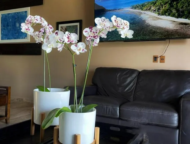 Hotel Matea San Isidro hotel detail image 2