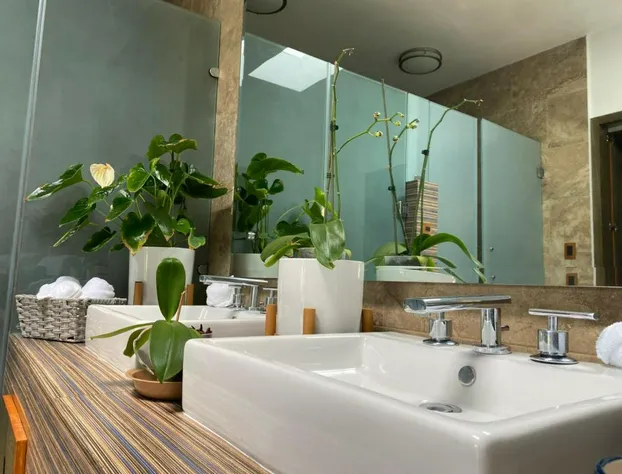 Hotel Matea San Isidro hotel detail image 4