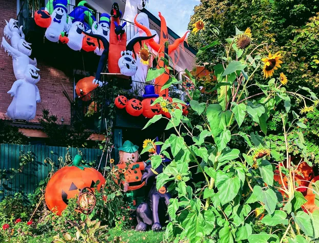 Ann Arbor B&B Inn hotel detail image 3