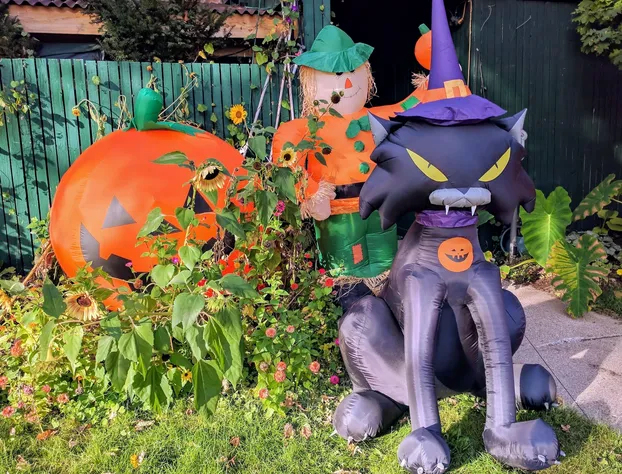 Ann Arbor B&B Inn hotel detail image 4