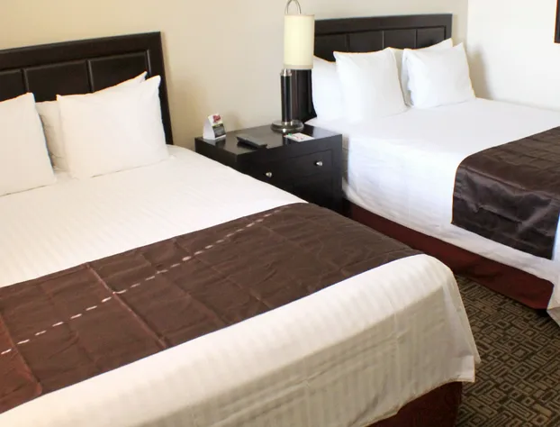 Wyndham Garden Torreon Tecnologico hotel detail image 3