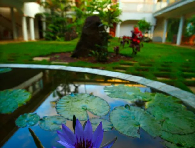 Hawaii Island Retreat hotel detail image 1