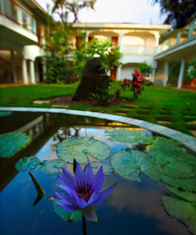 Hawaii Island Retreat hotel hero