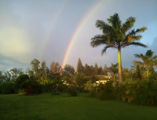 Hawaii Island Retreat hotel detail image 3