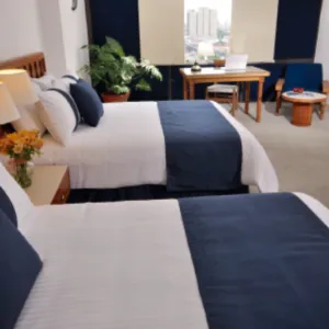 HMB Guadalajara Centro hotel detail image 2