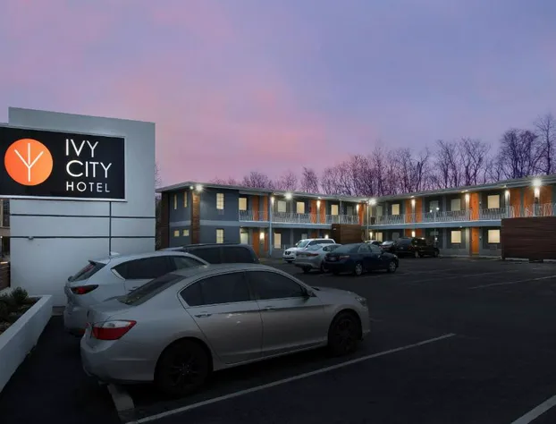 Ivy City Hotel hotel detail image 1