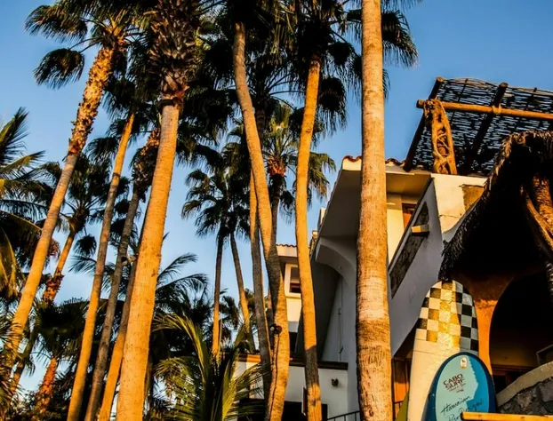 Cabo Surf Hotel & Spa hotel detail image 3