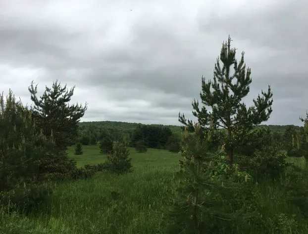 Key Motel hotel detail image 4