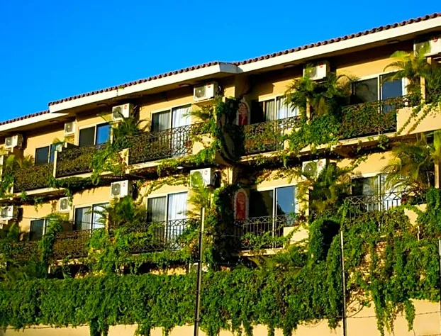 Cabo Vista Hotel - Adults only hotel detail image 2