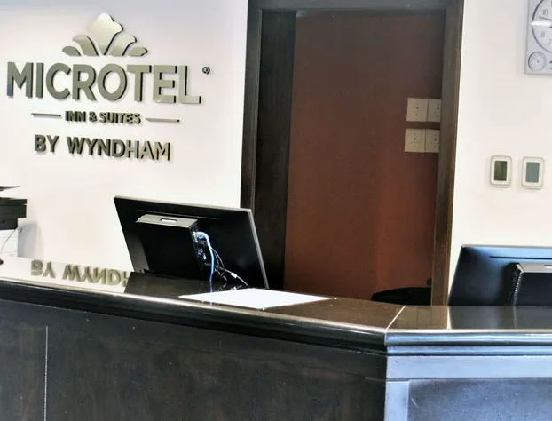 Microtel Inn & Suites by Wyndham Toluca hotel detail image 3