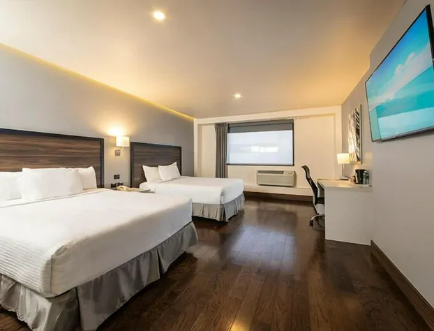 Hotel Chihuahua San Francisco hotel detail image 3