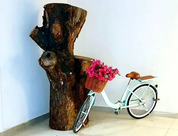 Amares Acapulco hotel detail image 4