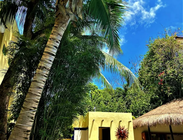 Hotel Lunasol hotel detail image 3