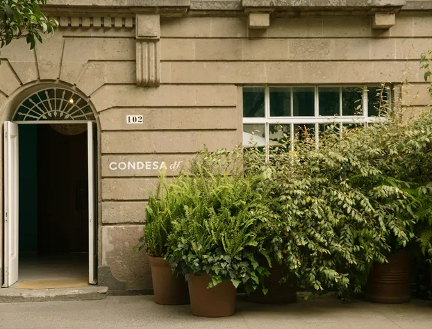 Condesa df, Mexico City, a Member of Design Hotels hotel detail image 3