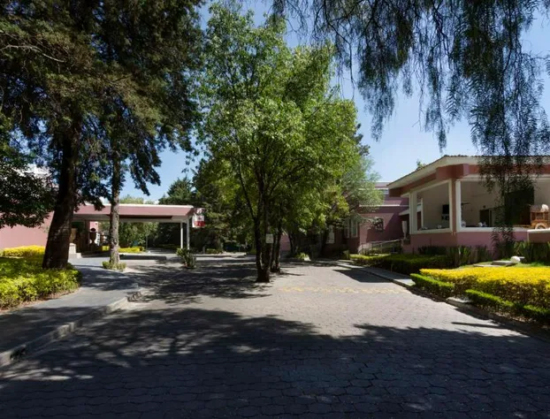 MM Grand Hotel Puebla, Tapestry Collection by Hilton hotel detail image 3