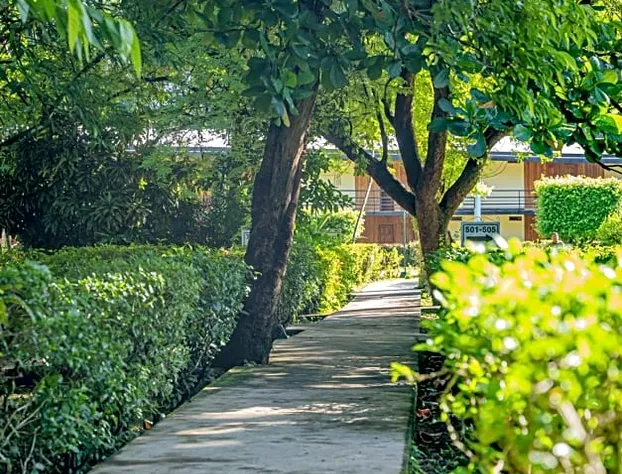 Hotel Nututun Palenque hotel detail image 4