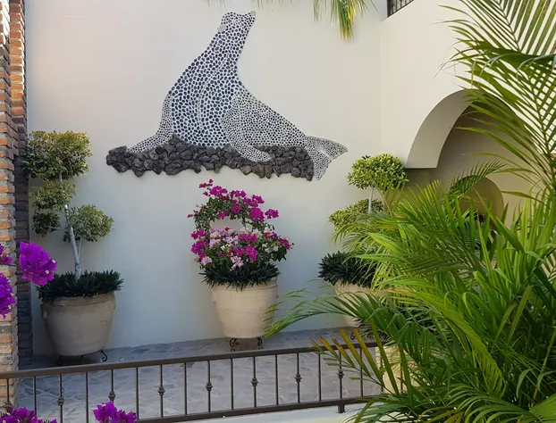 Posada De Las Flores La Paz hotel detail image 3