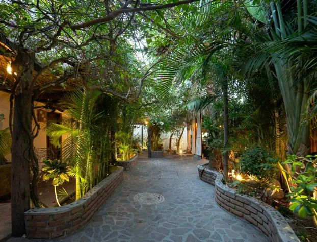 Posada De Las Flores La Paz hotel detail image 2