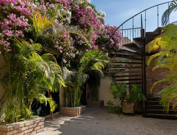 Posada De Las Flores La Paz hotel detail image 3