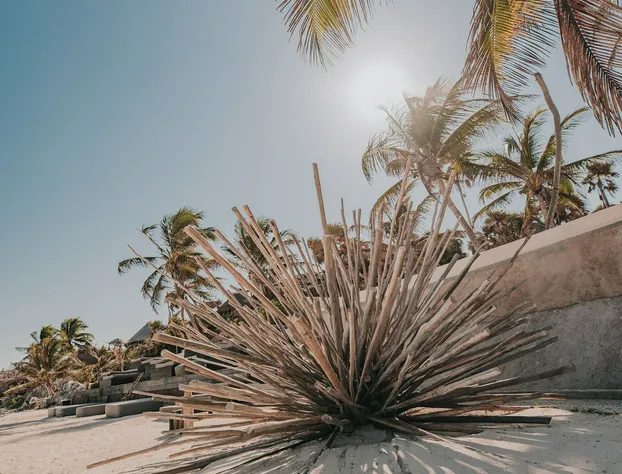 Papaya Playa Project, Tulum, a Member of Design Hotels hotel detail image 2