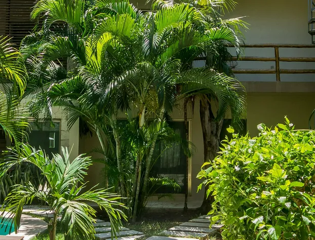 Luna Llena Tulum hotel detail image 4