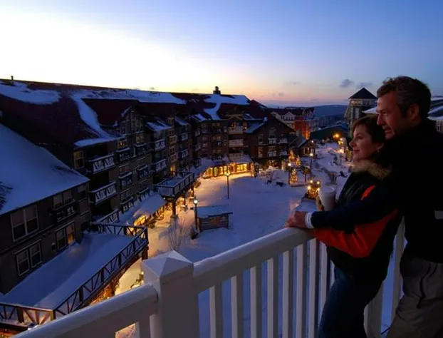 Allegheny Springs hotel detail image 3