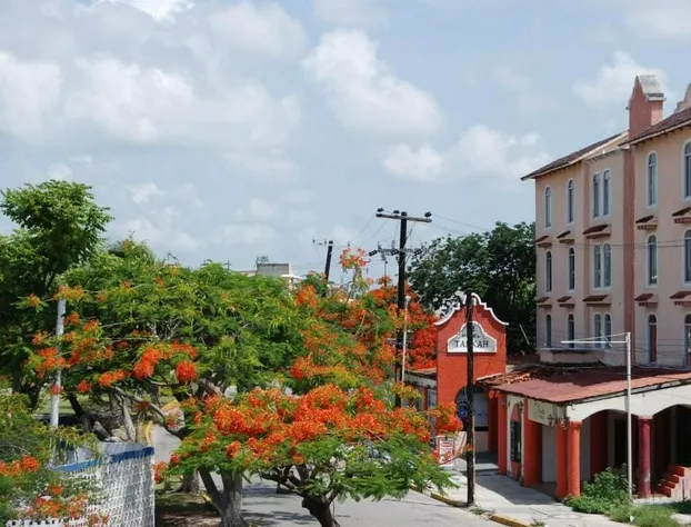 Hotel Tankah hotel detail image 4