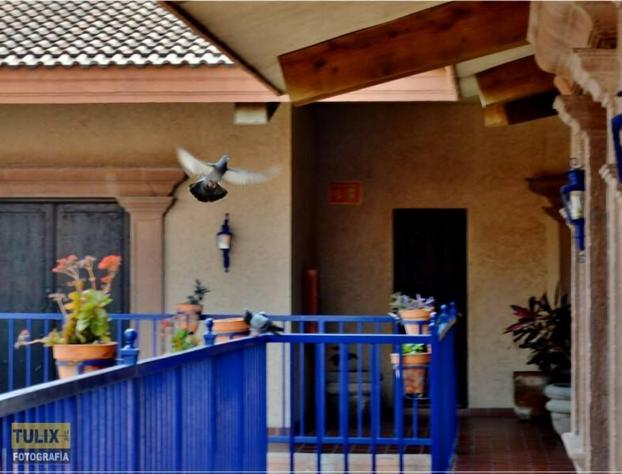 Hacienda Hotel hotel detail image 2